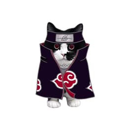 Akatsuki Bilauta