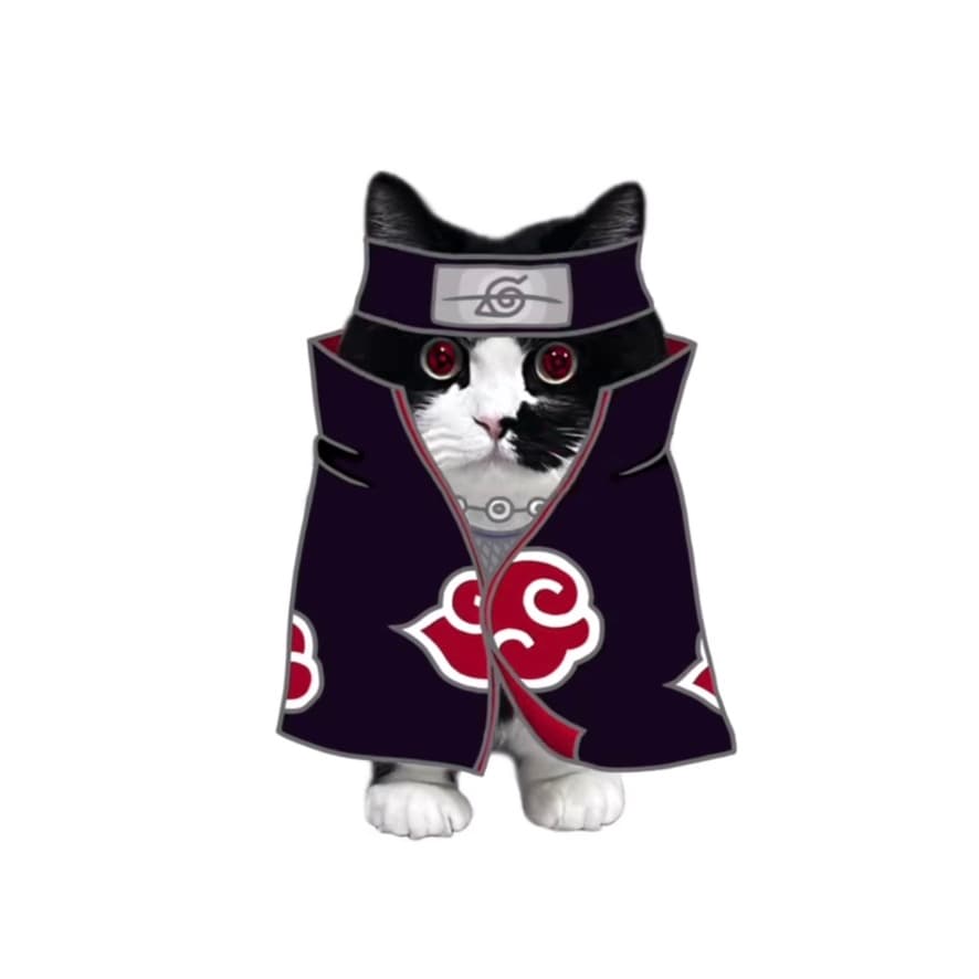 Akatsuki Bilauta